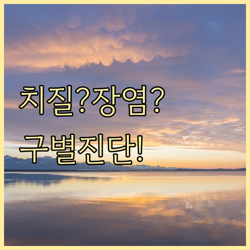 치질 장염 구별 진단 필수 이유와 맞..