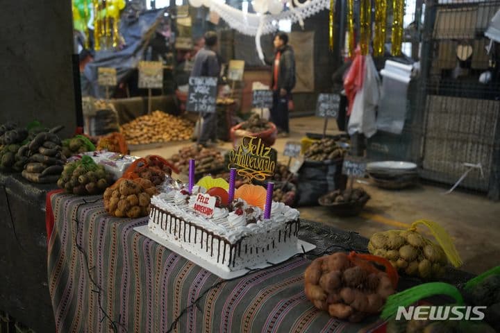 페루 감자의 날 축하케잌