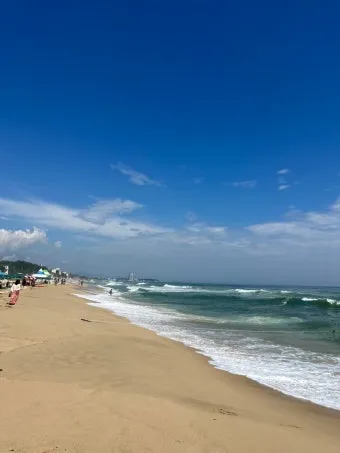 강원도 경포대 해수욕장과 강릉 가볼만한곳 best5 여행 자료집_14