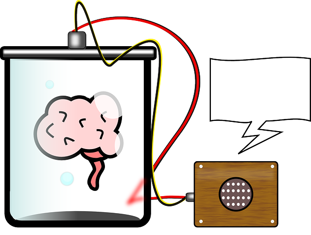 인간의-뇌와-동물의-뇌-차이점
