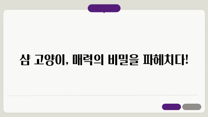 샴 고양이의 매력적인 성격과 특징