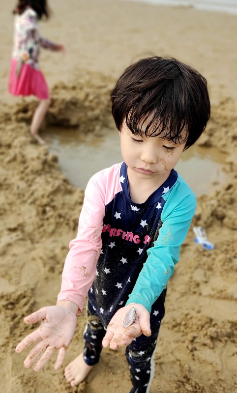 모래놀이를 하다 나온 조개