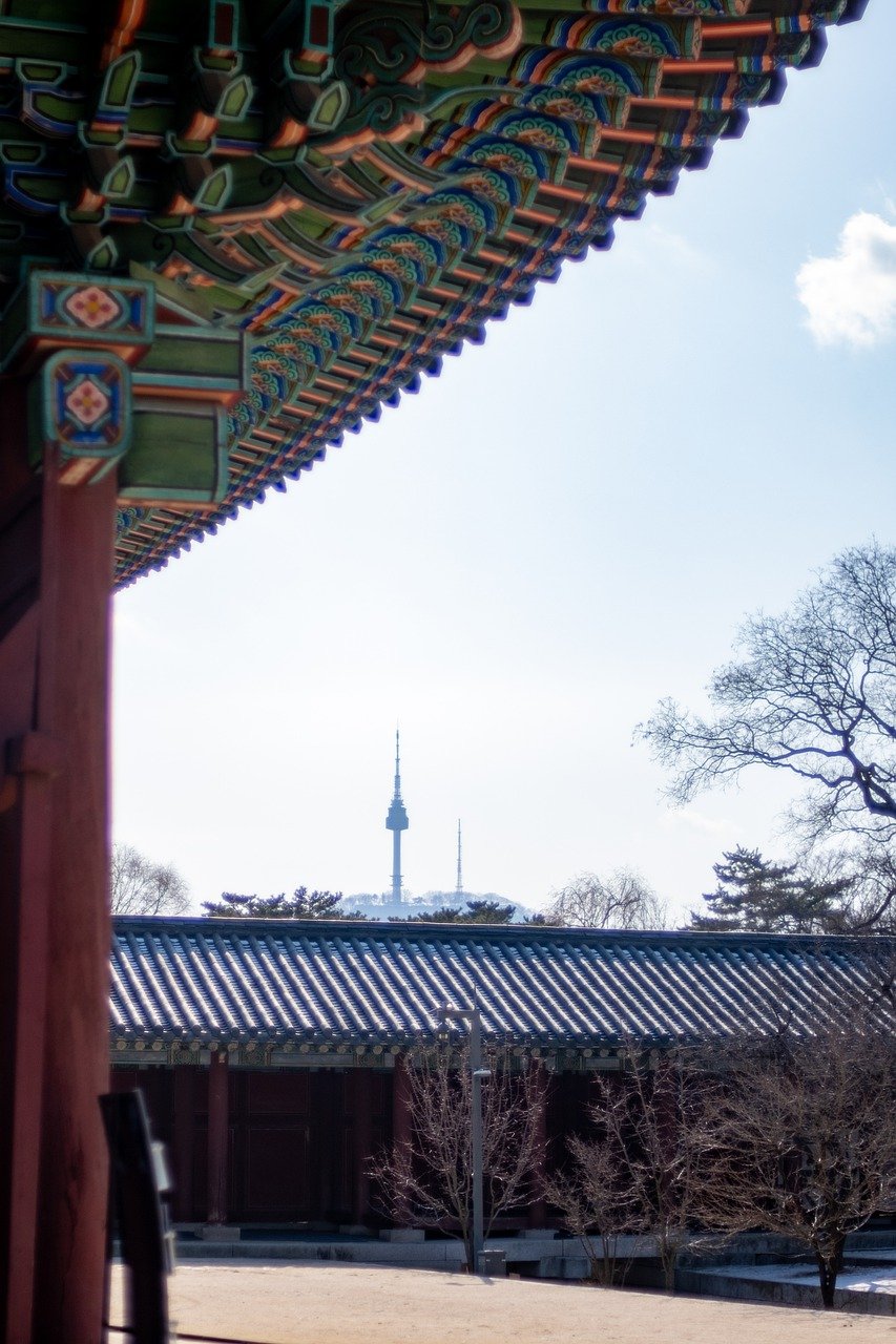 창경궁 야간개장