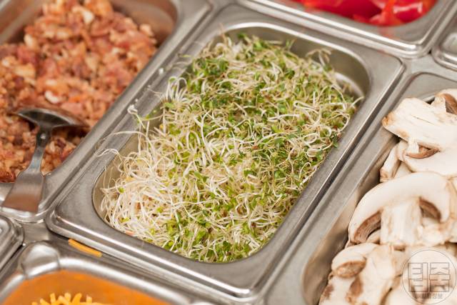 뷔페음식 단가순위 재사용 새싹채소