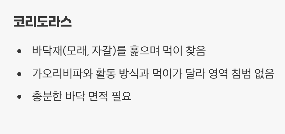 BEST 5: 평화로운 바닥의 이웃, 코리도라스