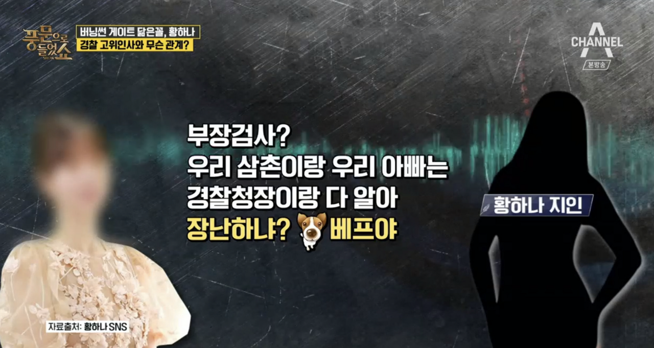 남양유업 재벌3세 '황하나' 프로필