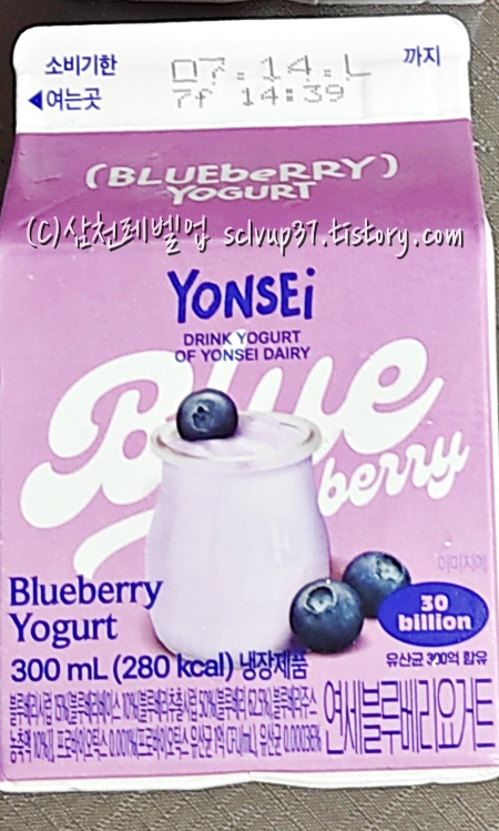 블루베리 주요성분