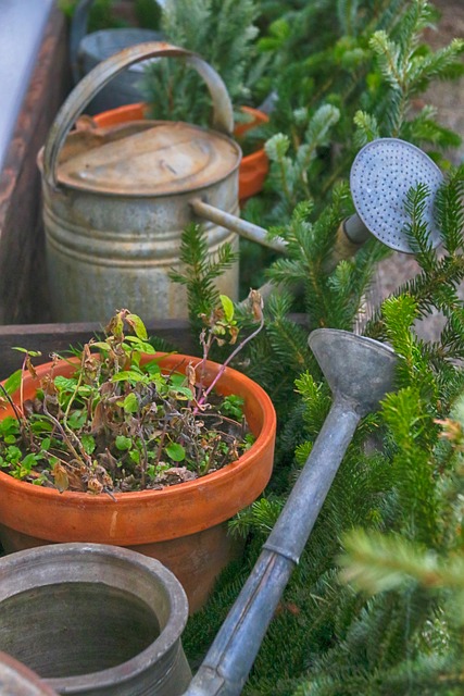 건강보험 피부양자 축소
