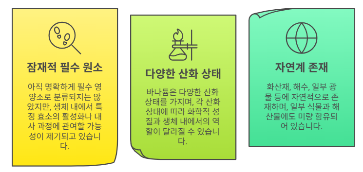 바나듐의 특징