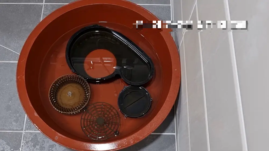 후드 날개 물에 불리는 모습