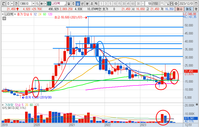 나이벡 주가 월봉 차트 (23.12.7)