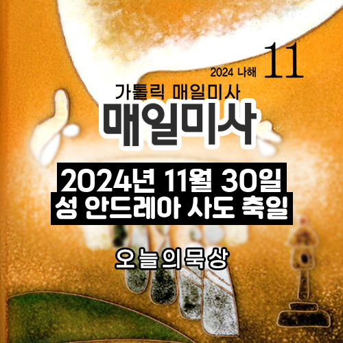 2024년 11월 30일 매일미사 성 안드레아 사도 축일 오늘의 묵상