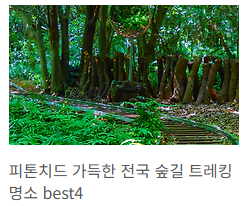 숲속 트레킹