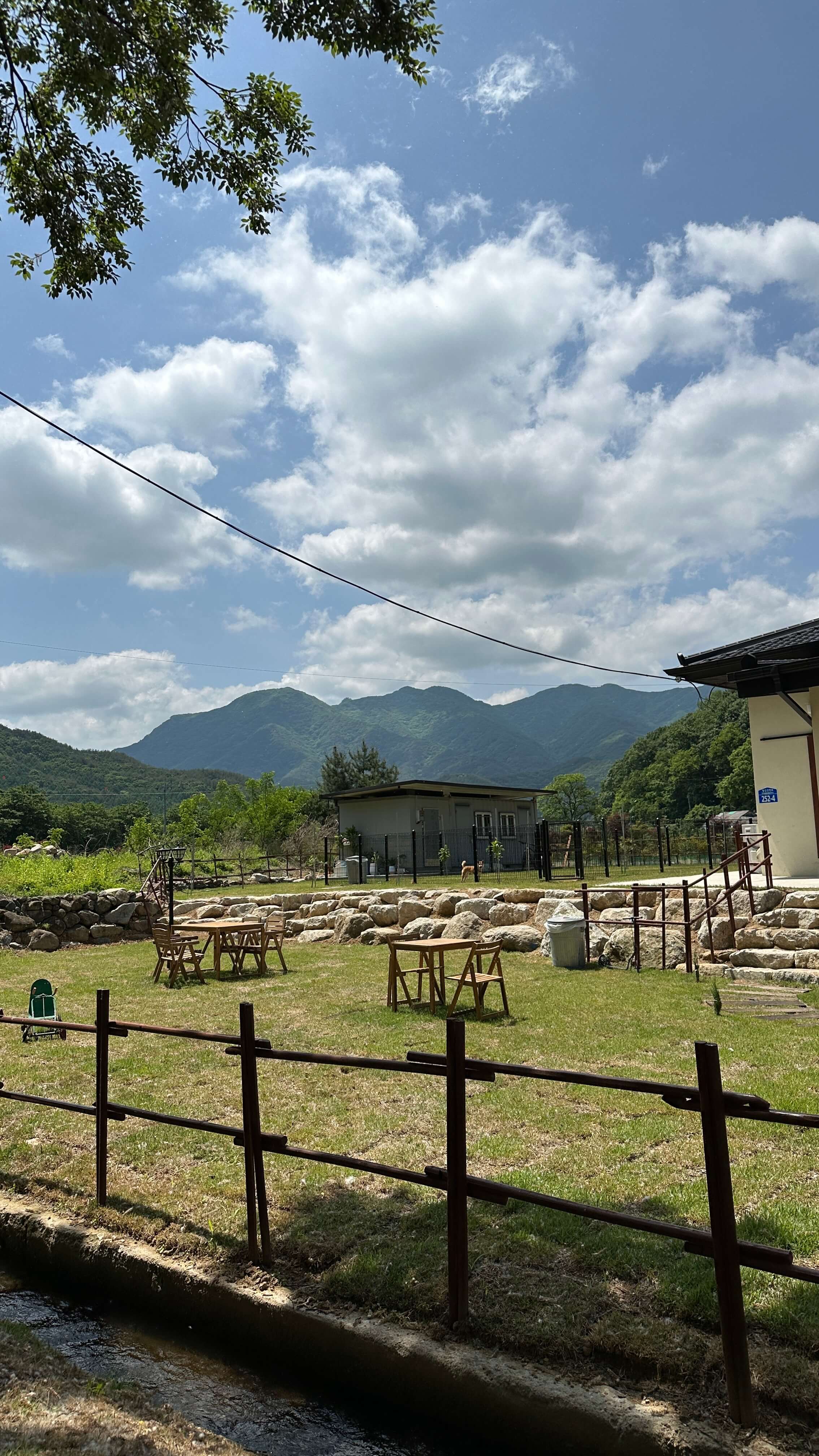 윌로우파크 커피