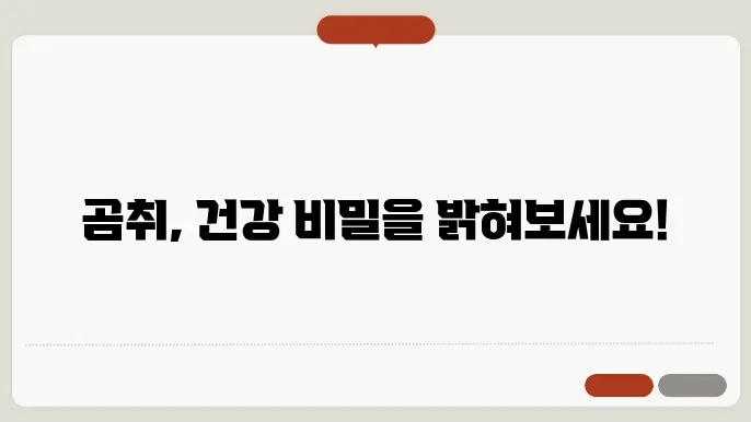 곰취의 효능과 부작용