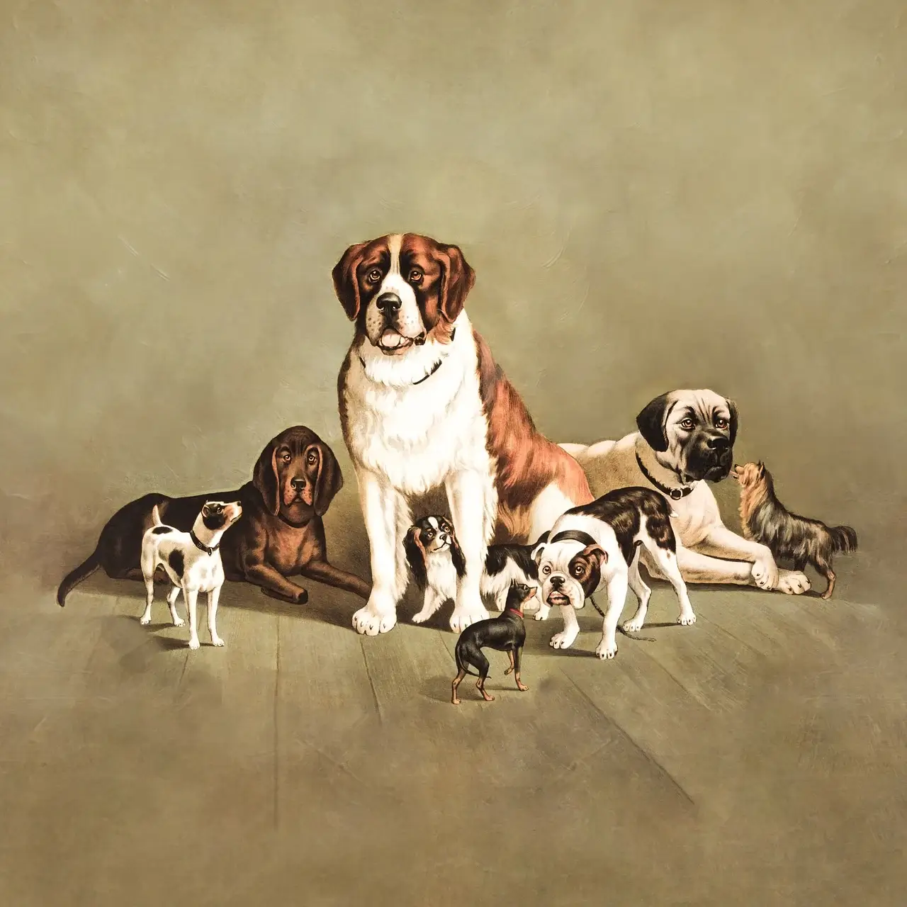 체격에 따른 강아지의 운동량과 건강관리법