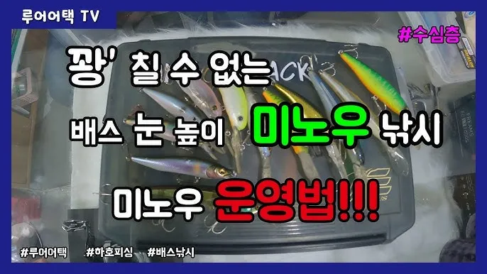 미노우낚시 공략 농어 서풍 강한 날 얕은 여밭과 트위칭 방법_3