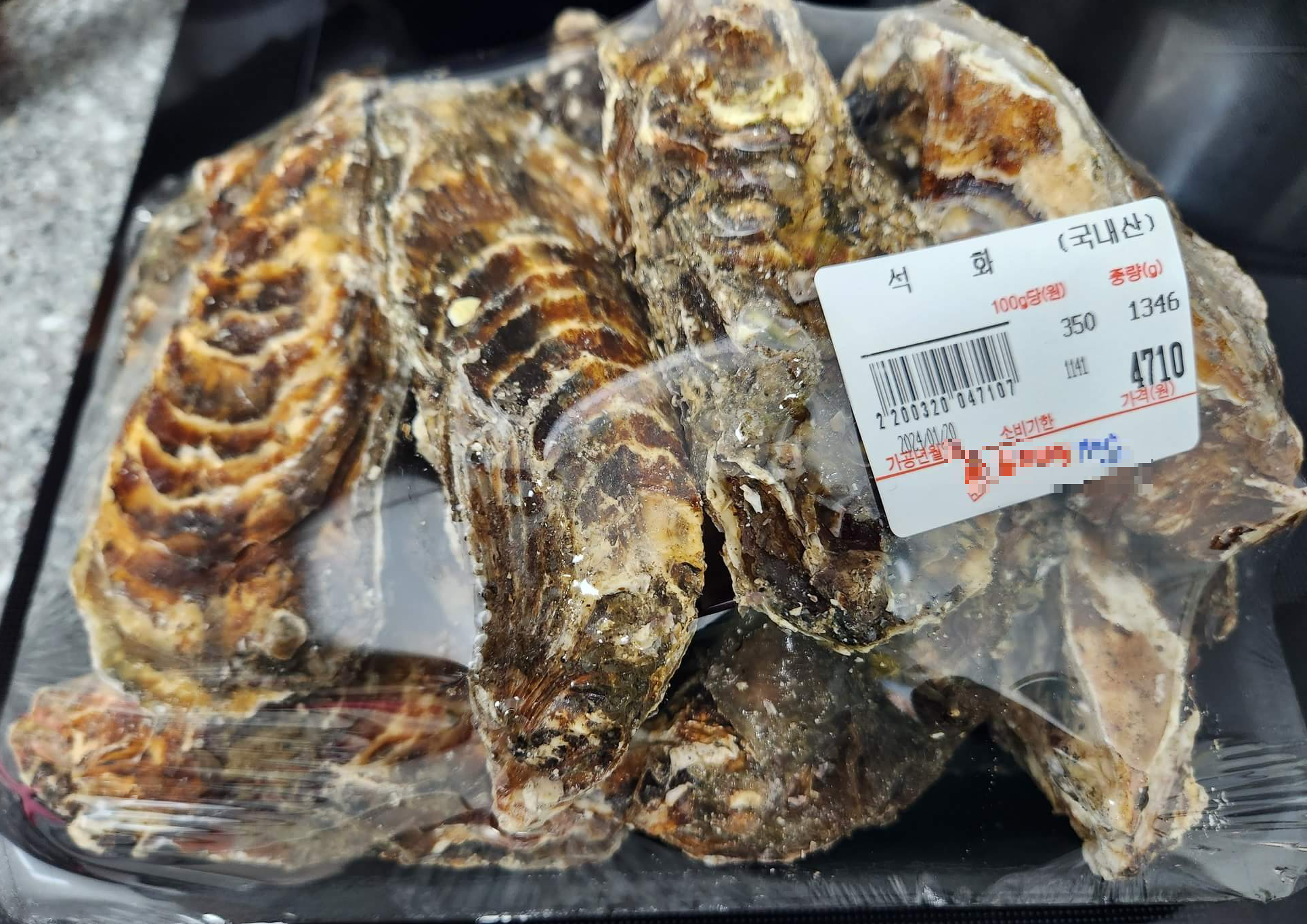 손질전 석화