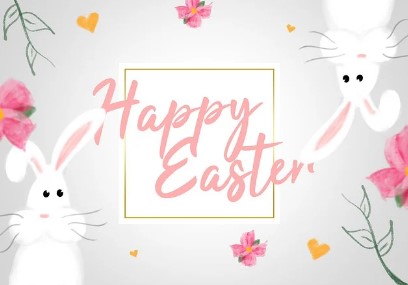 2026년 범띠 신년운세 무료 확인