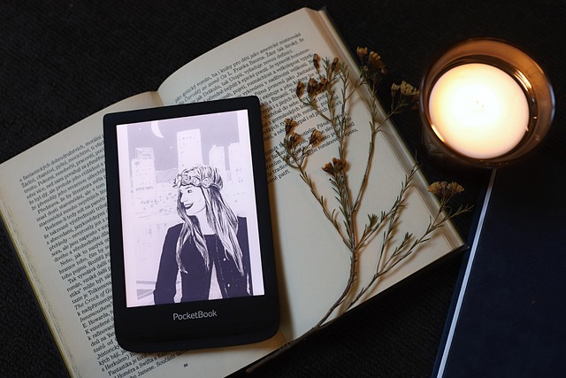 이북리더기 추천(장점과 단점&amp;#44; 주요 브랜드 추천)