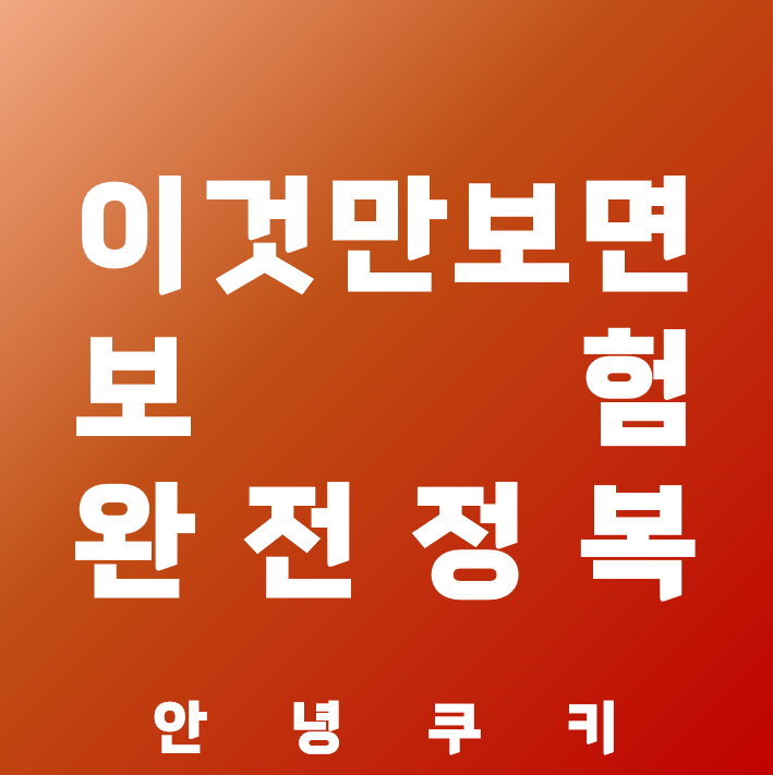 보험 완정 정리