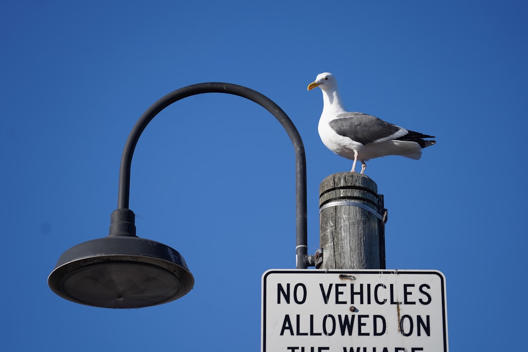 Discrimination