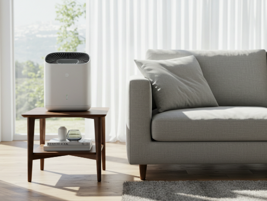 공기청정기 집에서 쉽게 하는 관리 비법