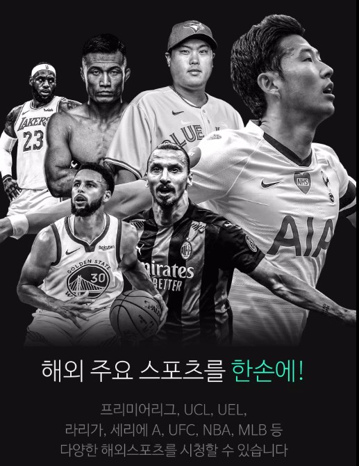 챔피언스리그-경기일정