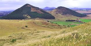 제주도 한 달 살이 체험기