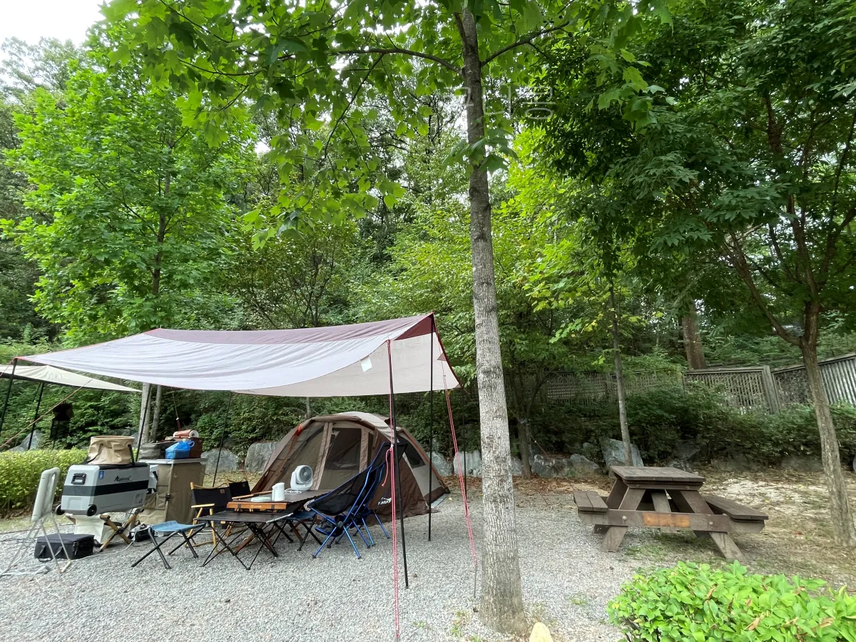 서울-가족캠핑-피크닉-추천-초안산캠핑장-자리,예약-꿀팁