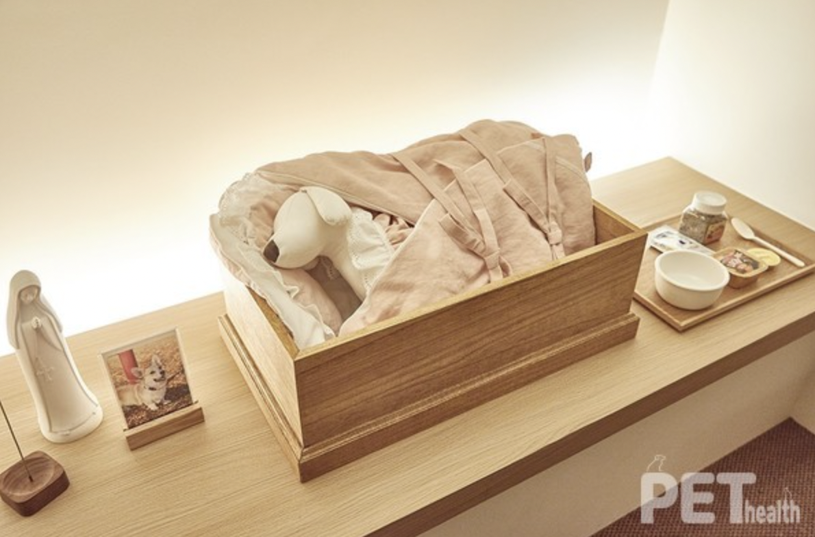 반려동물-장례지도사