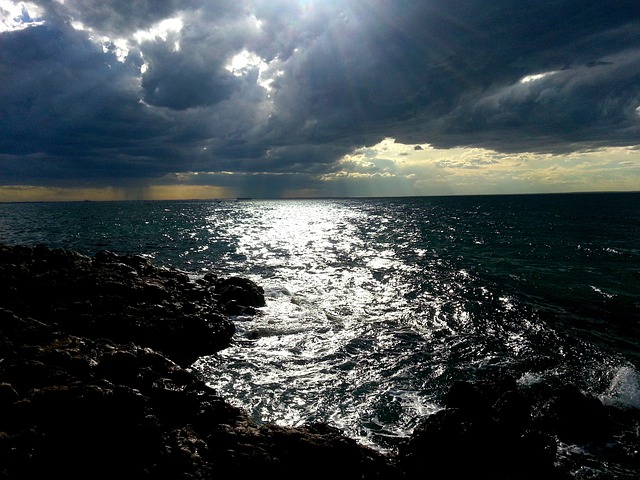 태풍 대비와 태풍 경로 확인하기