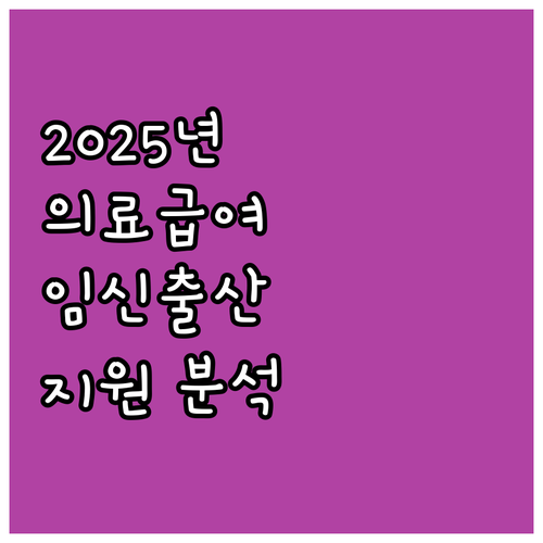 2025년 의료급여 임신출산 진료비 ..