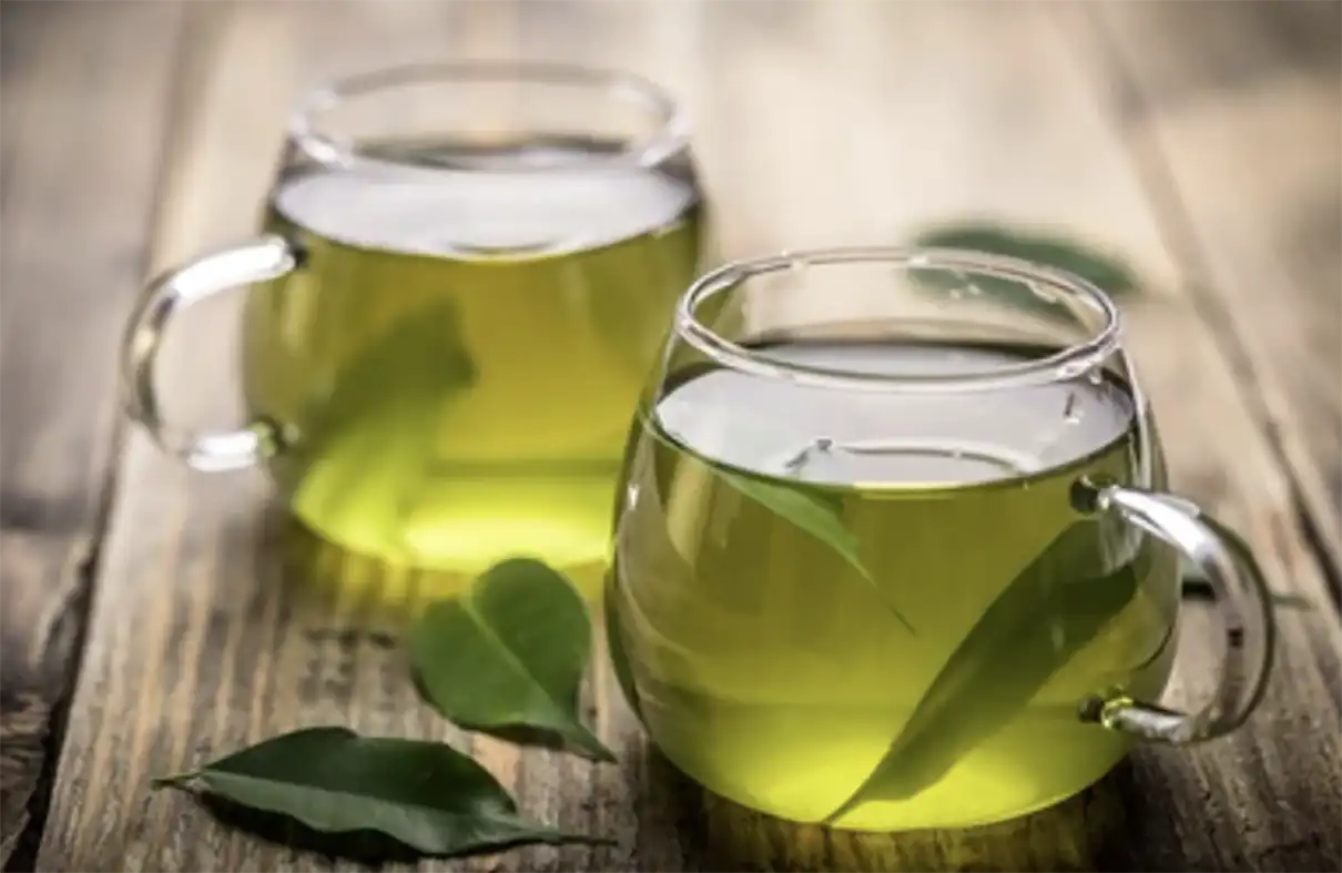 컵에-담겨있는-녹차-이미지