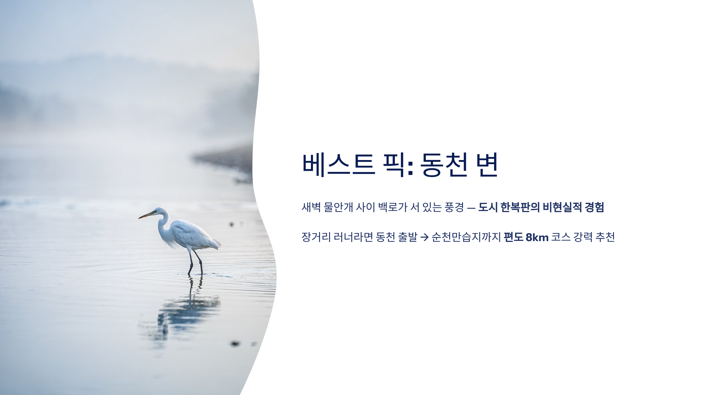 순천 근교 산책 달리기 트레킹 코스 추천 ❘ 습지부터 산줄기까지 걷는 여행