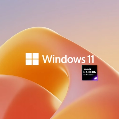 Windows 10/11 AMD 드라이버 호환성 예시 이미지