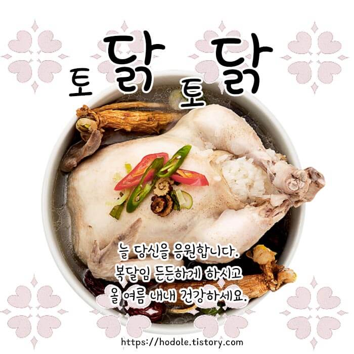 초복 인사 문구