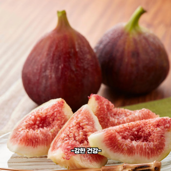 무화과 효능