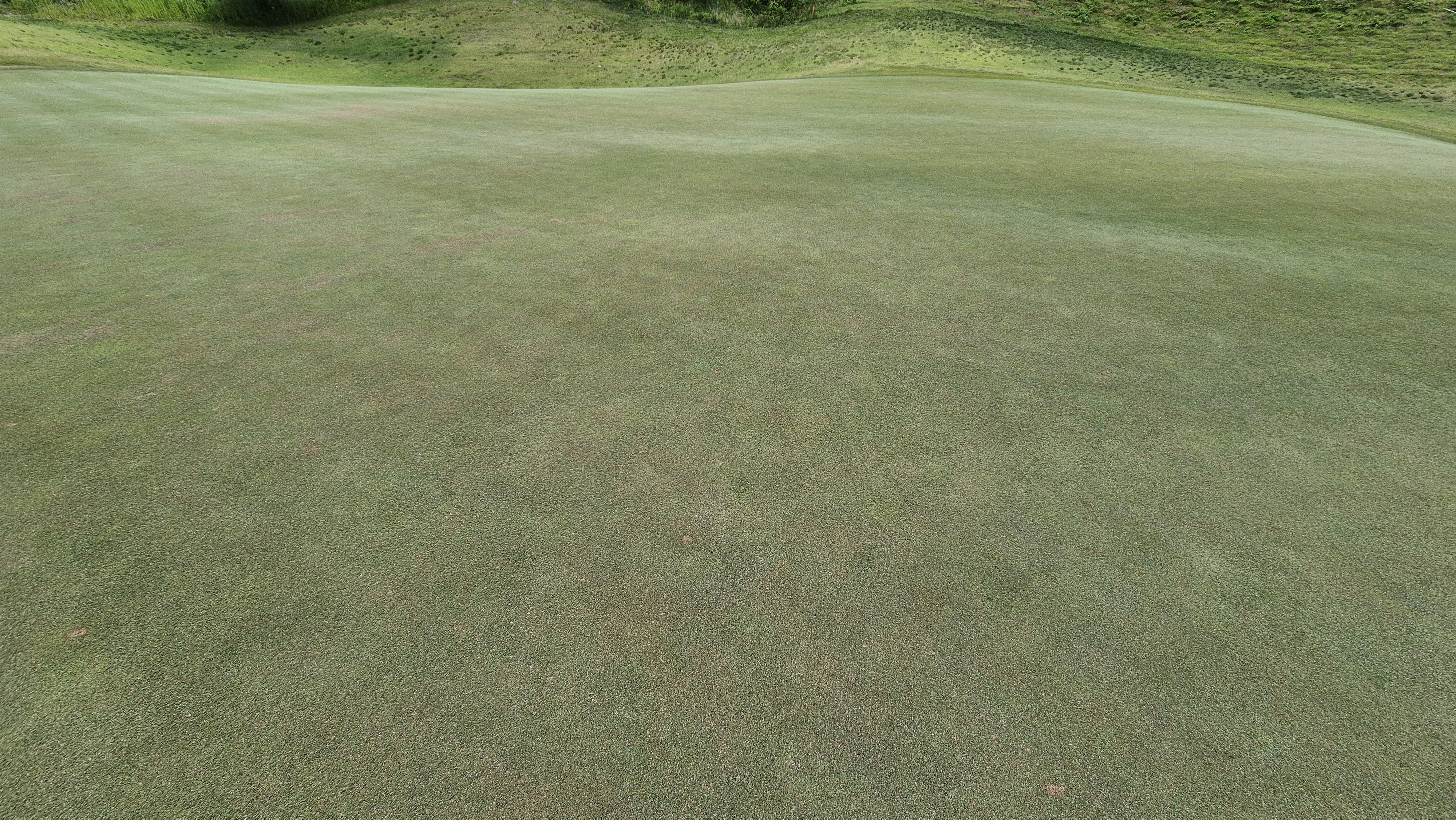 샴발라cc 라운드 후기