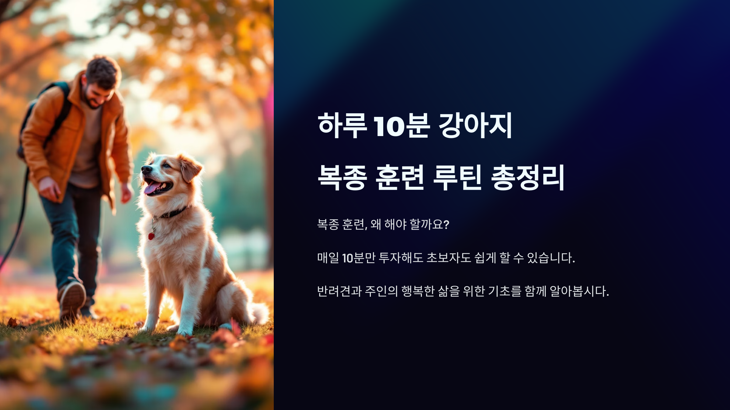 강아지 복종 훈련, 하루 10분으로 끝! 기본 루틴 총정리