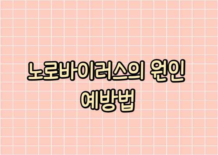 노로바이러스의 원인 예방법 글자 대표이미지