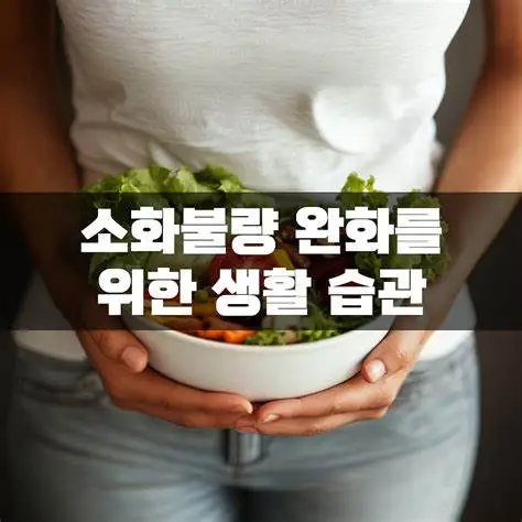소화불량 예방 습관과 하루 습관
