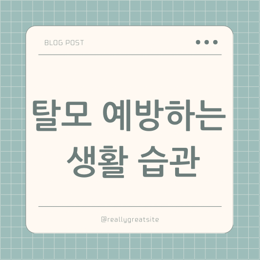 탈모 예방하는 생활 습
