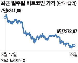 비트코인 11% 급락