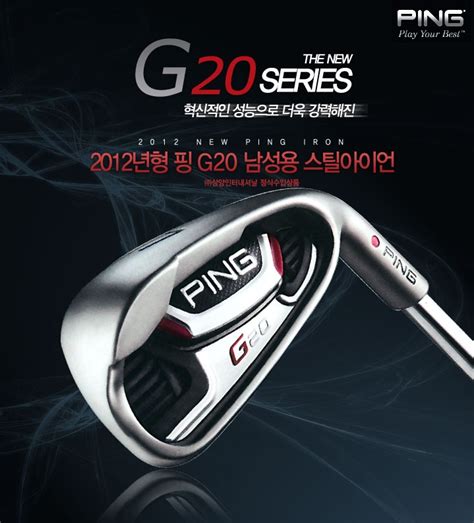 2011 G20, Anser Forged 2011
