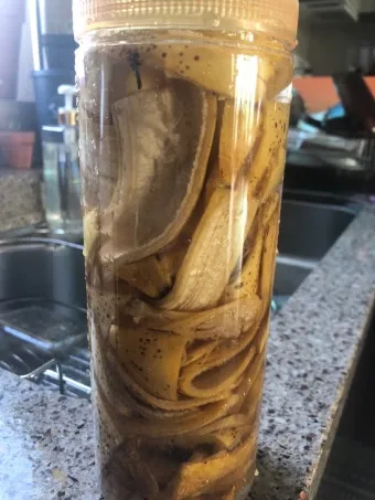 바나나물 효능 원리 부작용_5