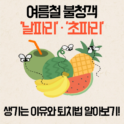 날파리, 초파리