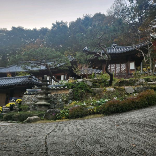 동학사계곡