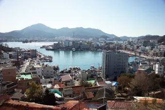통영 동피랑 벽화마을 관람 팁과 인생샷 포인트 소개_33