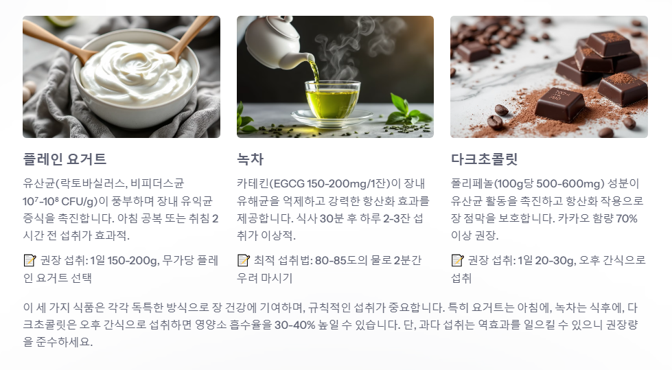 플레인 요거트 녹차 다크초콜릿